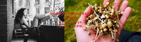 Альфа ПВП Балабаново